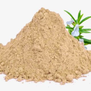 thumbai, Leucas aspera powder