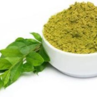 adathoda, Justicia adhatoda powder