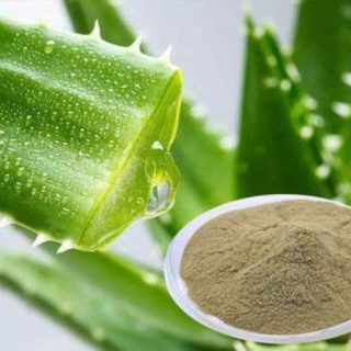 aloe vera powder