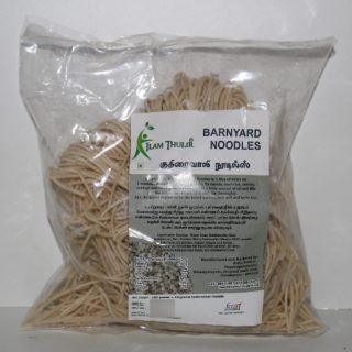 ilam thulir kuthiraivali noodles