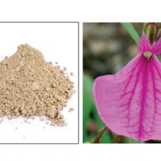 single petal lotus powder