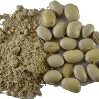 poonaikaali, Mucuna pruriens powder