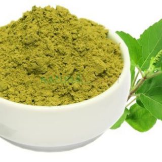 tulsi powder